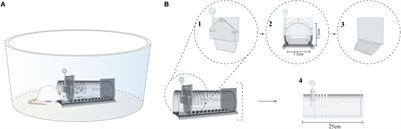 Are There Multiple Motivators for Helping Behavior in Rats?